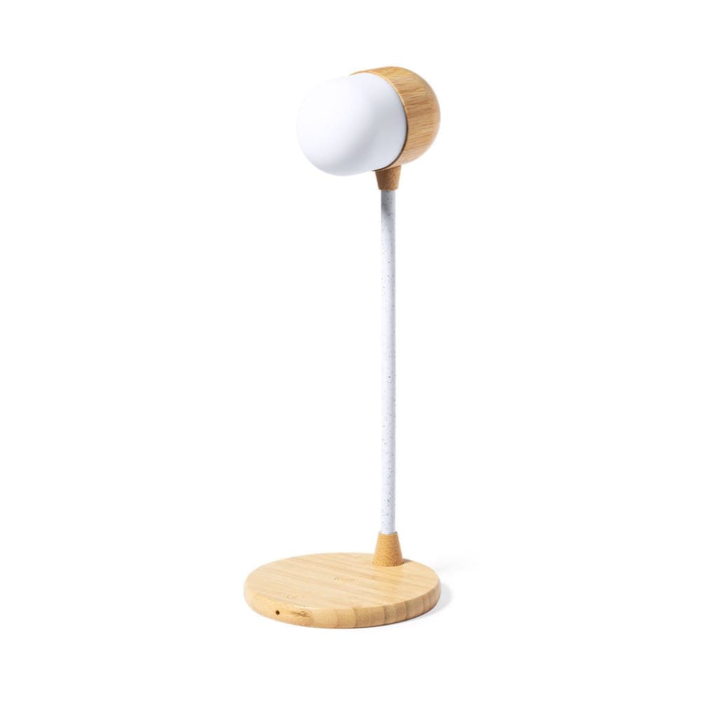 Lampe Multifonction 2