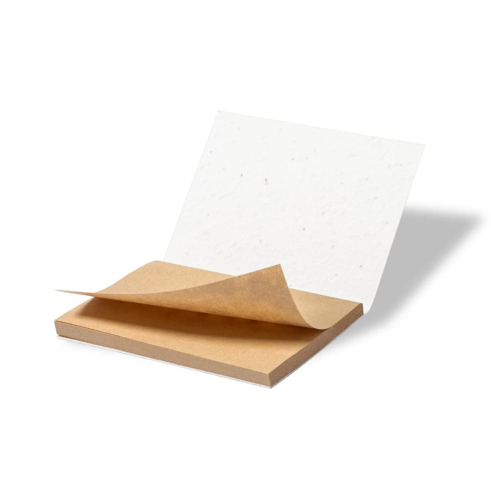 Bloc Notes Ensemencé 3