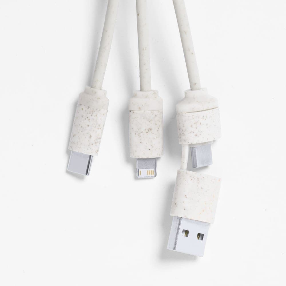 Câble de Charge 3