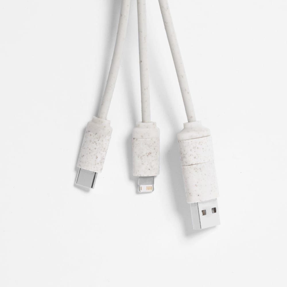 Câble de Charge 4
