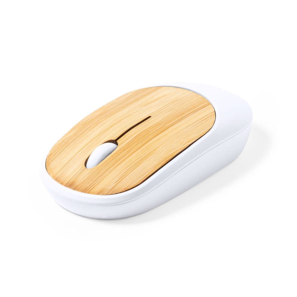 Souris 2