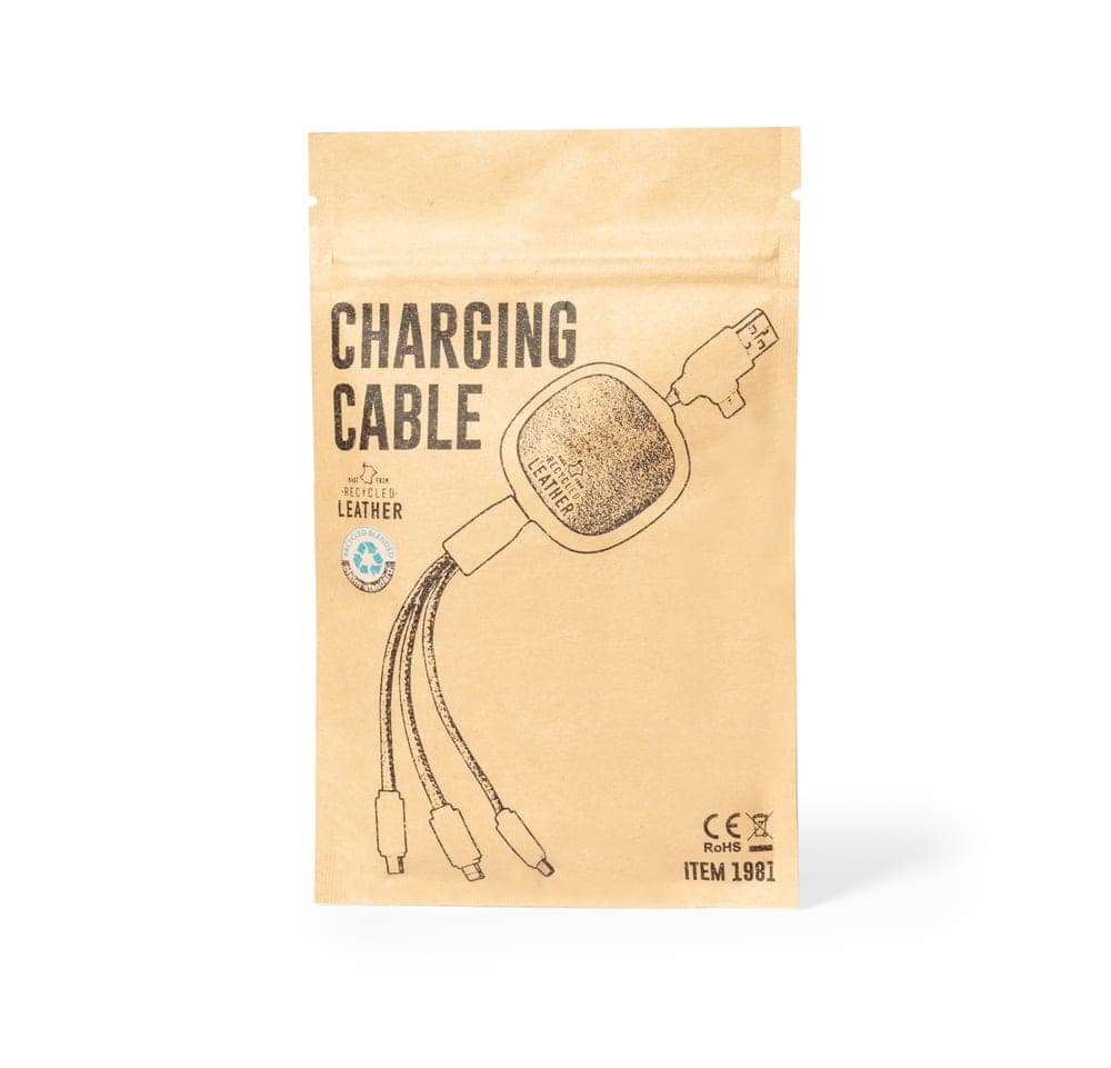 Câble de Charge 5