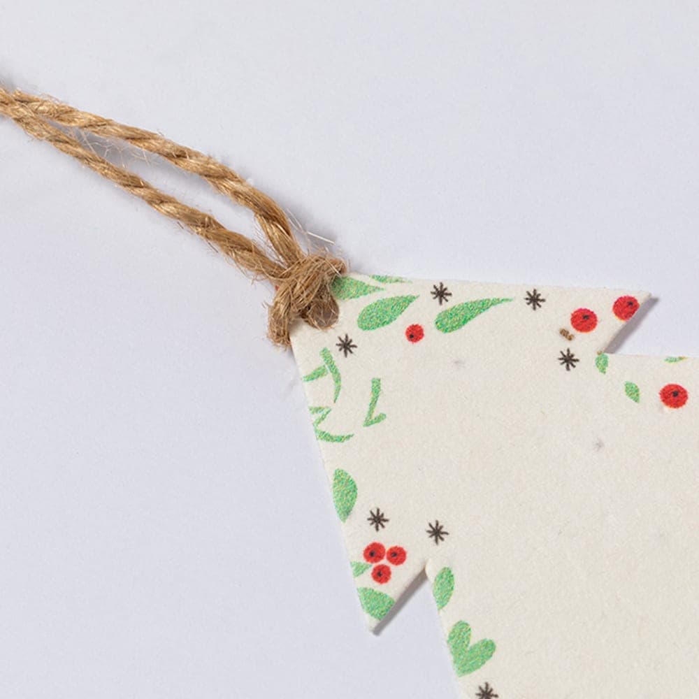 Ornement Noël Ensemencé 5