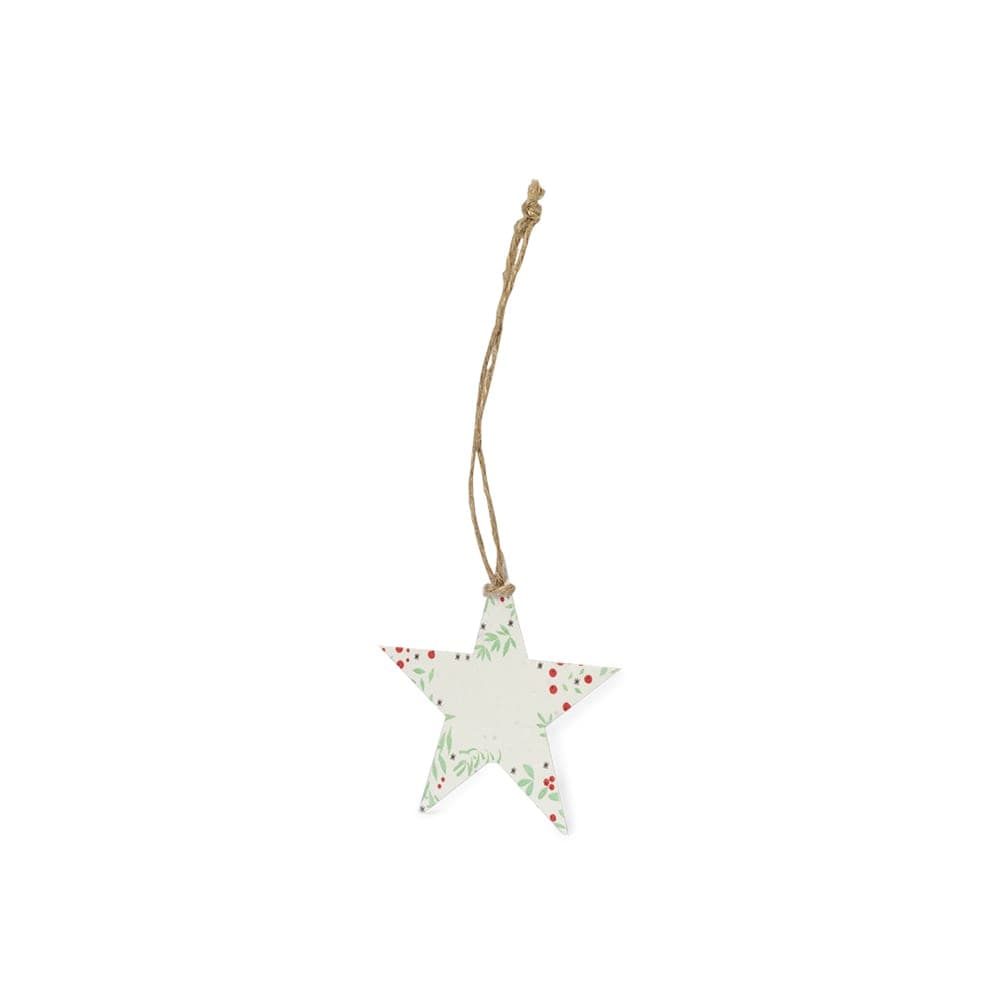 Ornement Noël Ensemencé 3