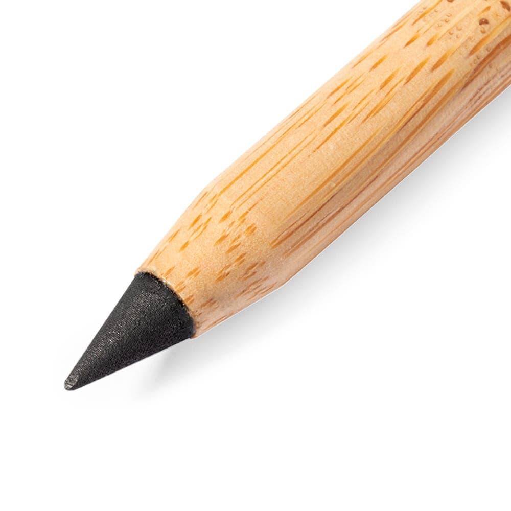 Crayon Éternel 5