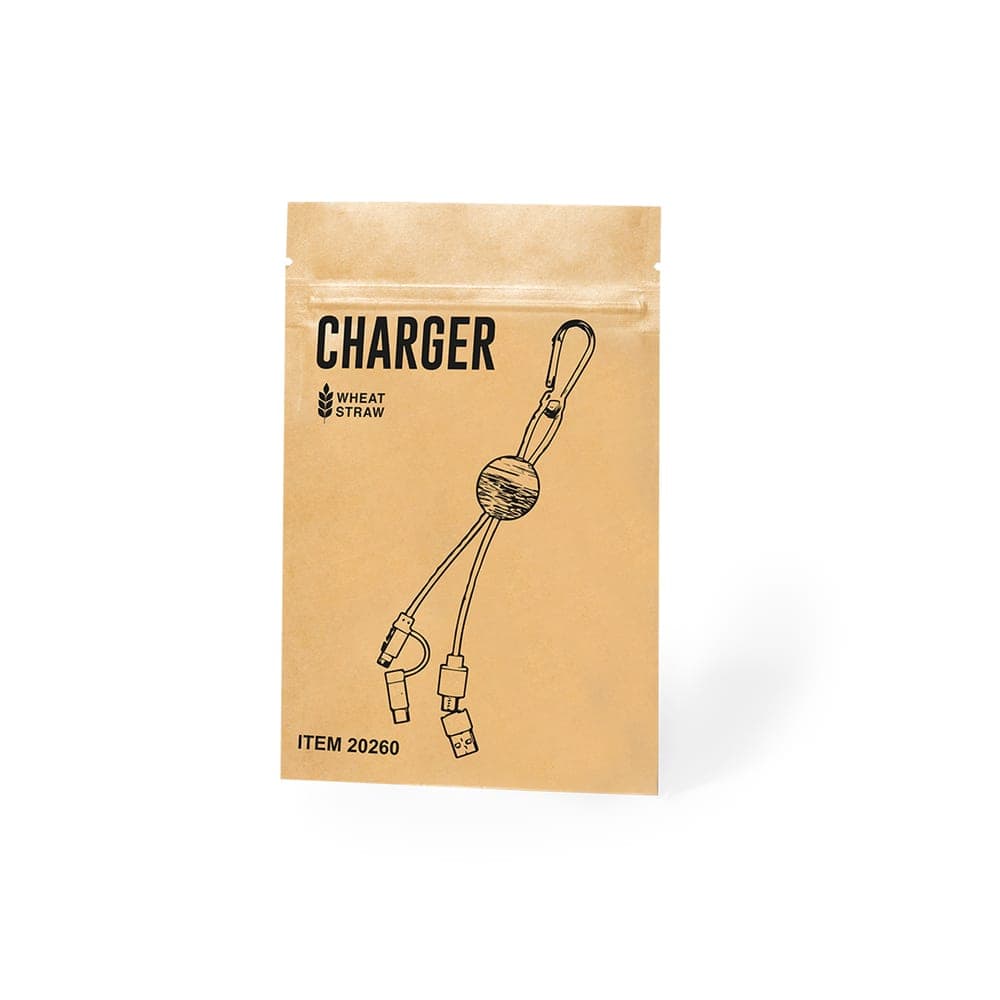 Câble de Charge 6