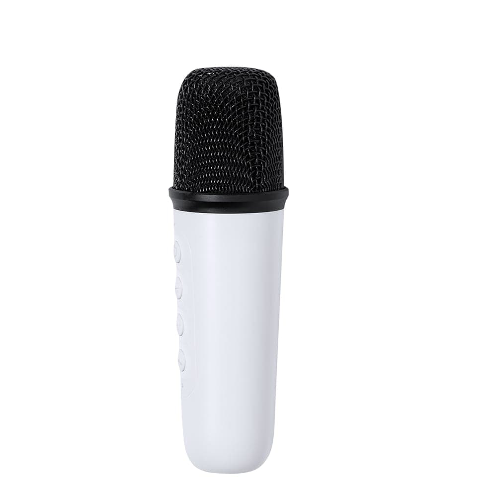Haut-Parleurs Karaoke 4