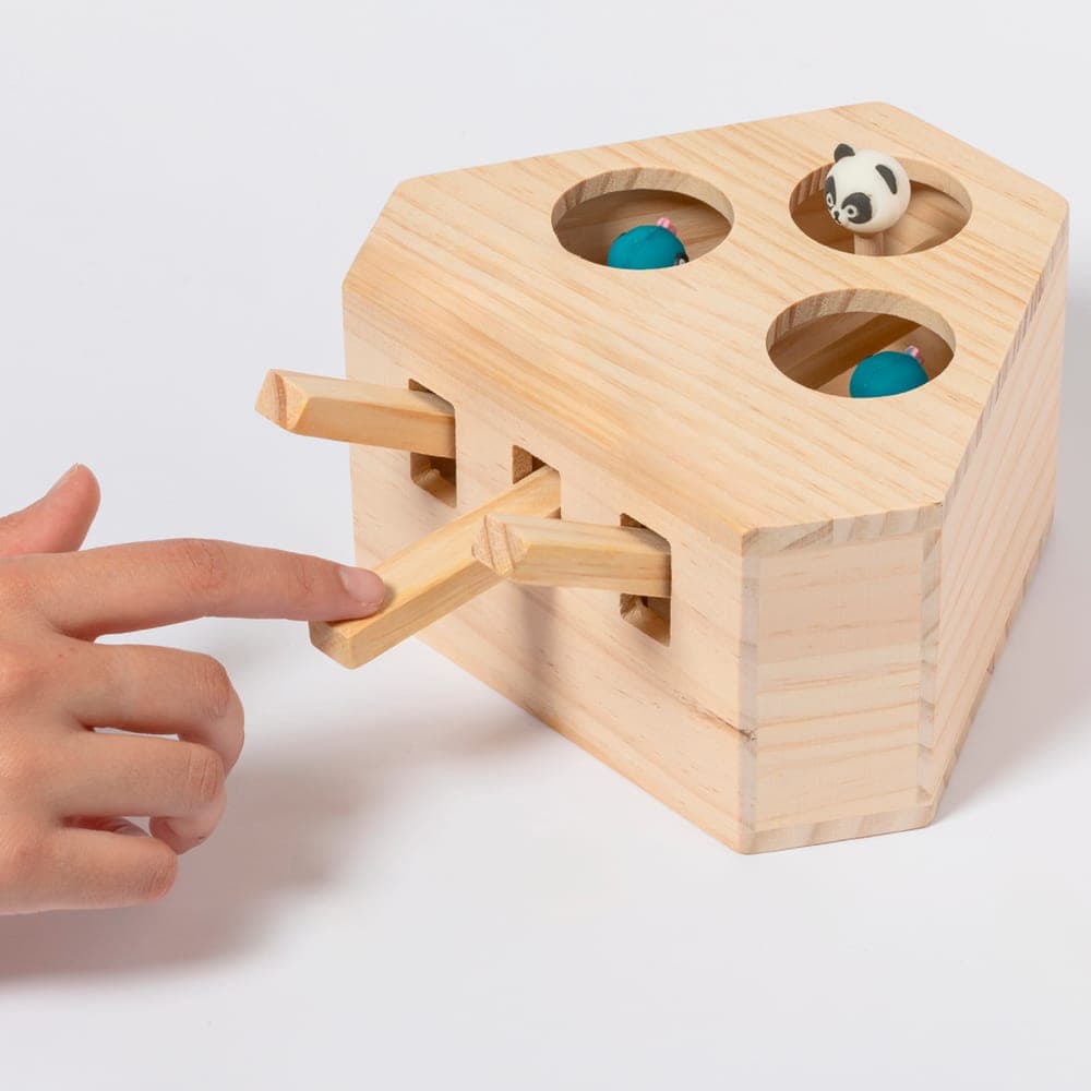Jeu d'Animaux de Compagnie 6