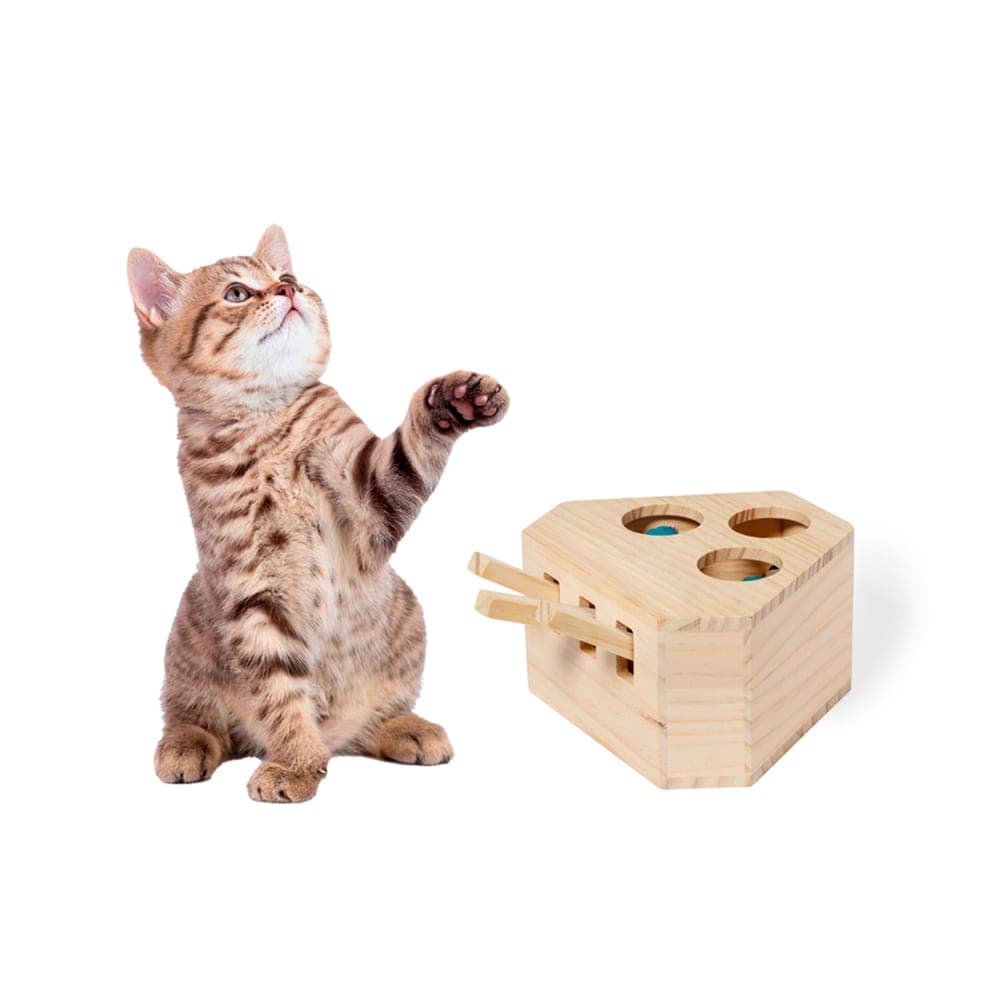 Jeu d'Animaux de Compagnie 4