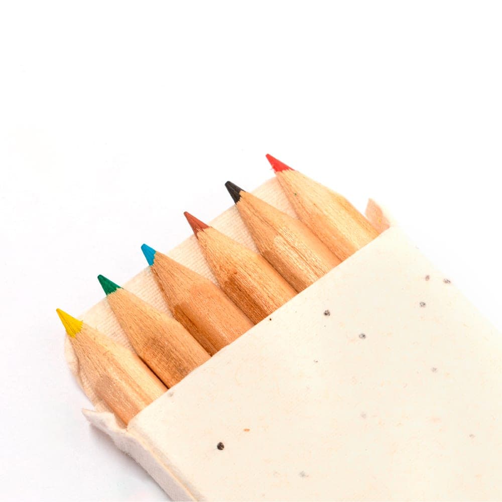 Boîte Crayons Ensemencé 6