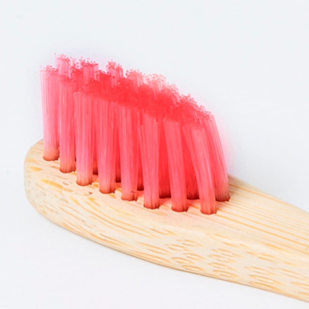 Brosse à Dents 7