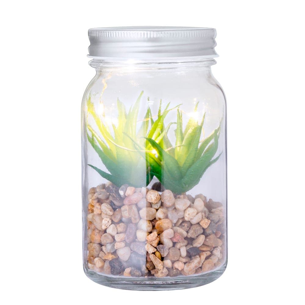 Plante Décorative 3