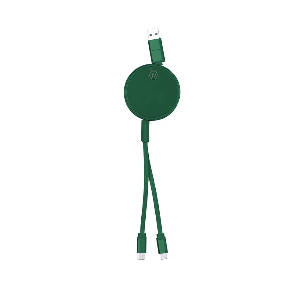 Câble de Charge 4