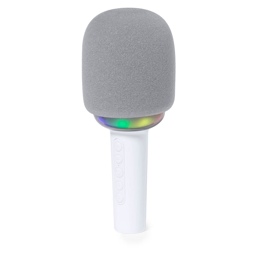 Microphone Haut-Parleurs 3