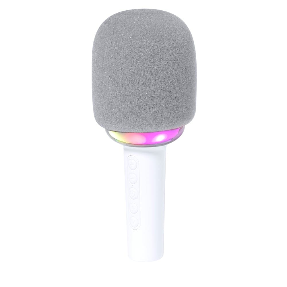 Microphone Haut-Parleurs 4
