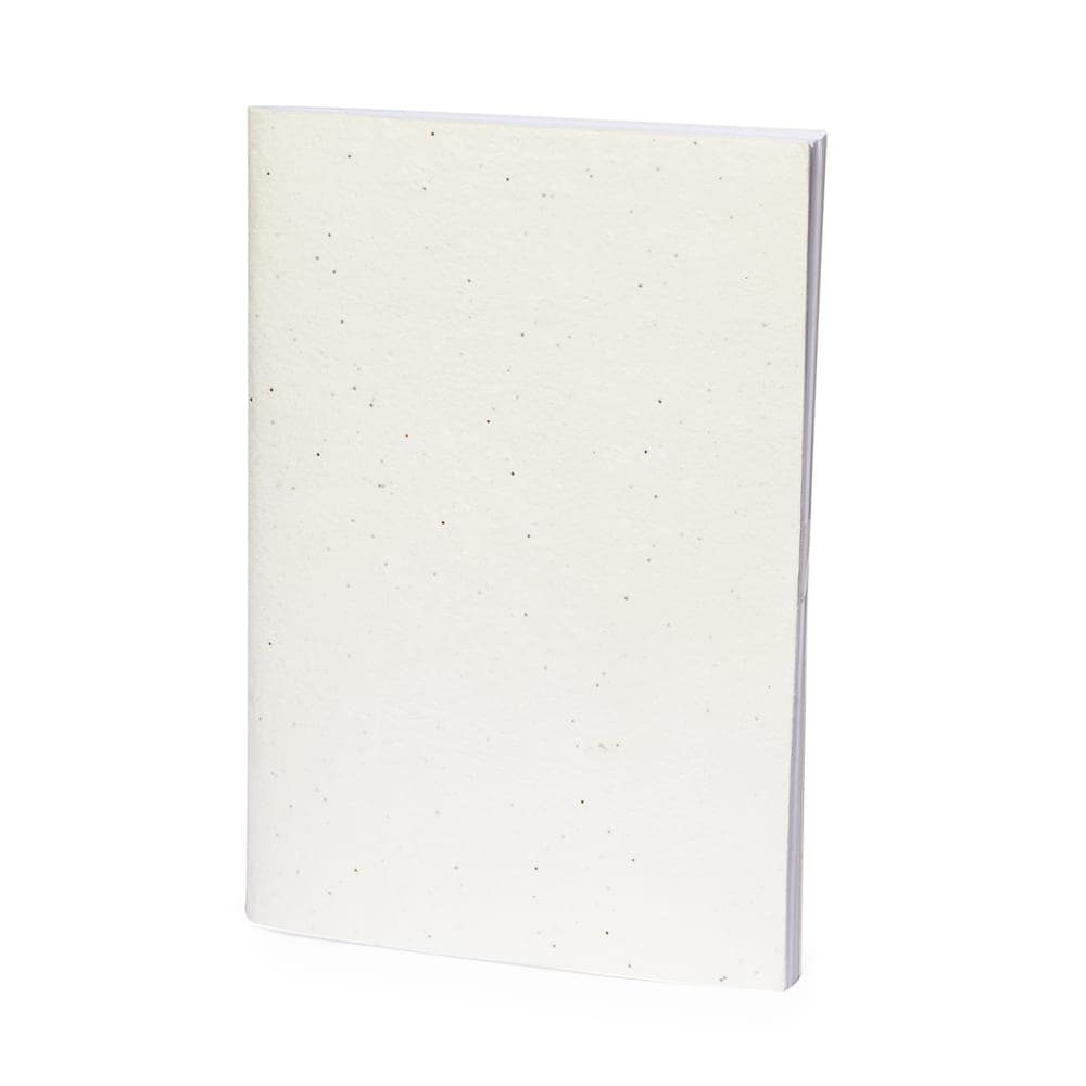 Cahier Ensemencé 3