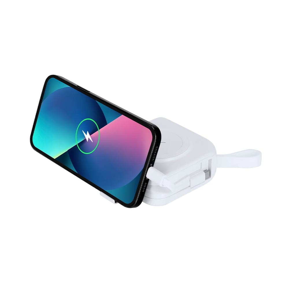 Adaptateur Voyage Multifonction 4