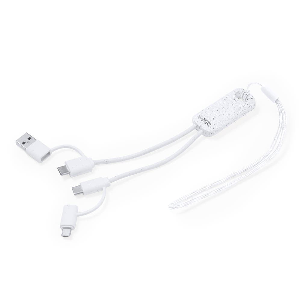 Câble de Charge 3
