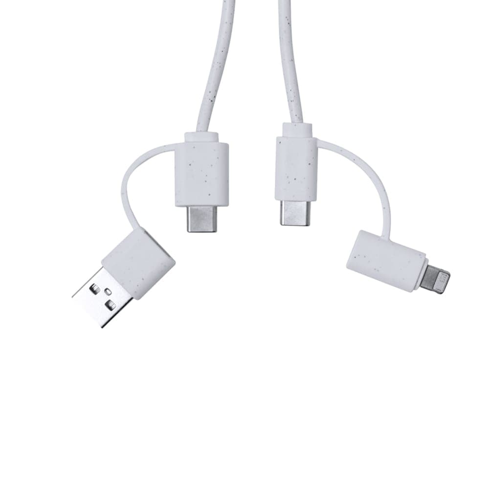 Câble de Charge 4