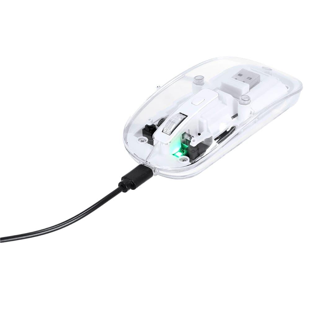 Souris 3