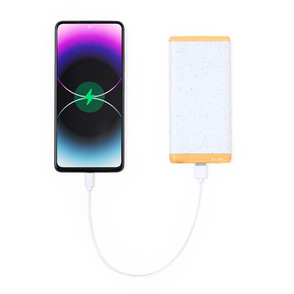 Power Bank 4