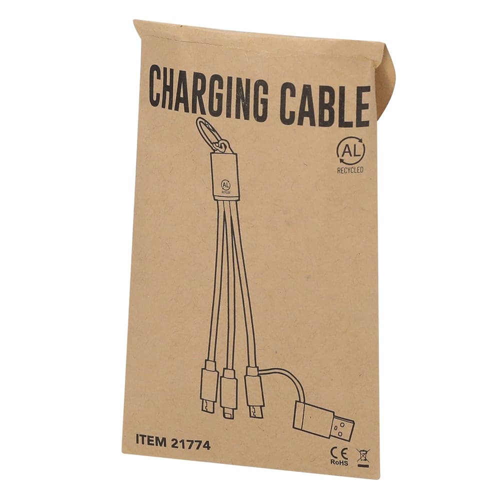 Câble de Charge 6