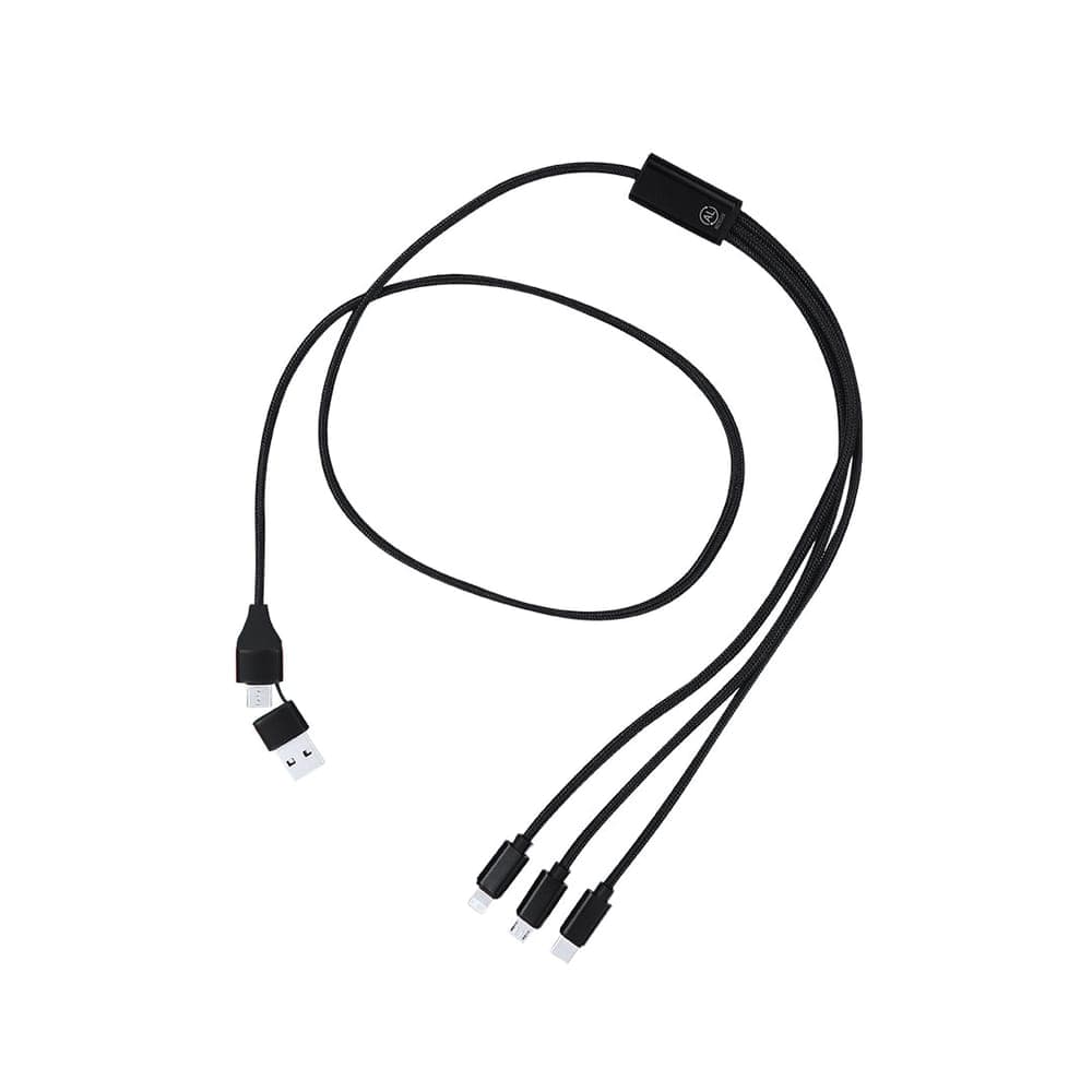 Câble de Charge 4