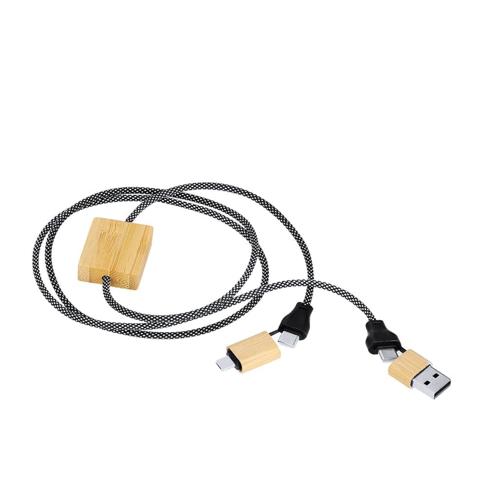 Câble de Charge 4