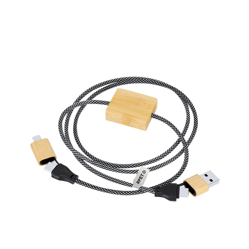 Câble de Charge 6