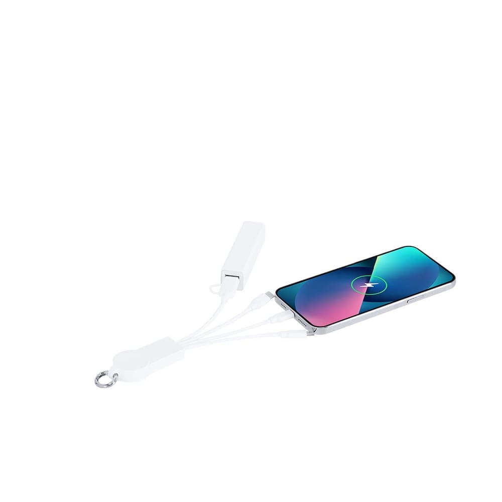 Câble de Charge 3