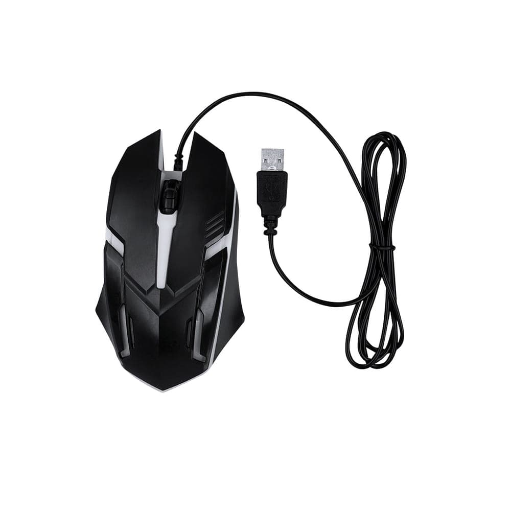 Souris 2