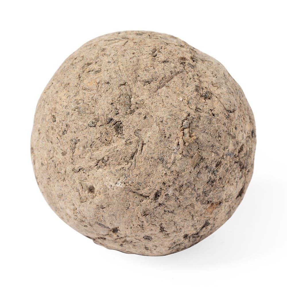 Bonbon Graines 4