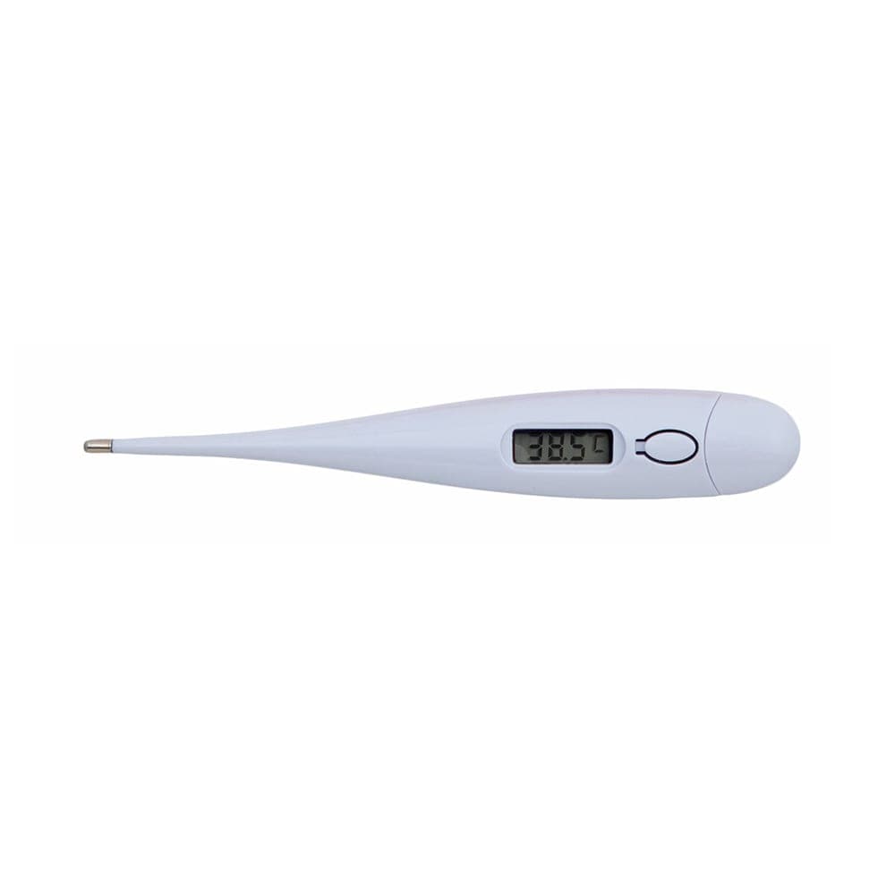 Thermomètre Digital 2