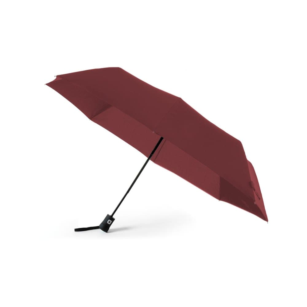 Parapluie 3