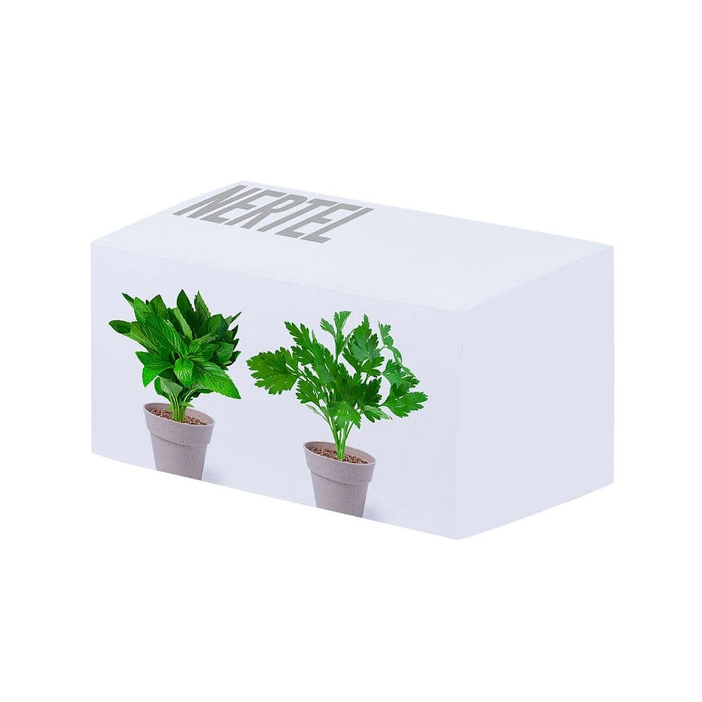 Set Pot de Fleurs 2