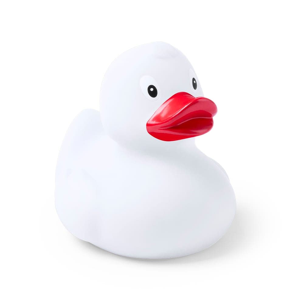 Canard 2