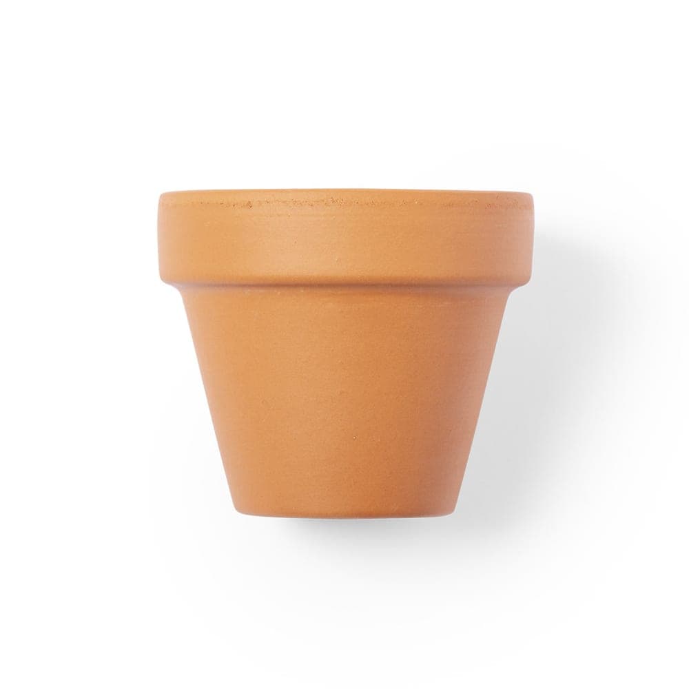 Pot de Fleurs 2