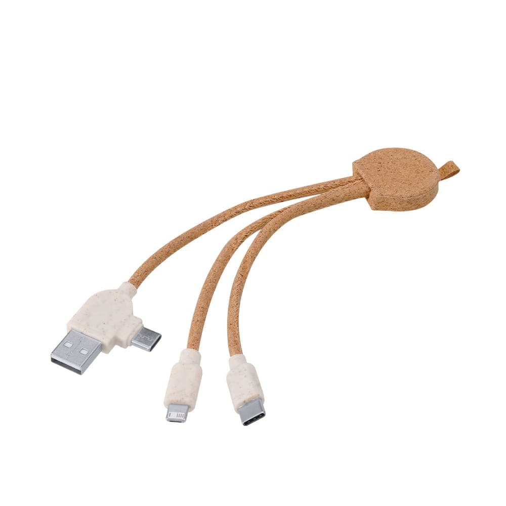 Câble de Charge 3