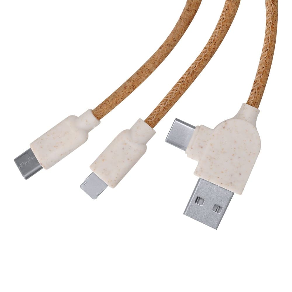 Câble de Charge 5