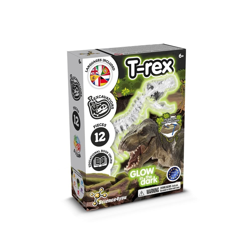 Fossil Excavation Kit I 3